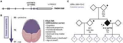 Case report: TMEM106B haplotype alters penetrance of GRN mutation in frontotemporal dementia family